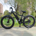 high-end market central motor ebike mtb bike